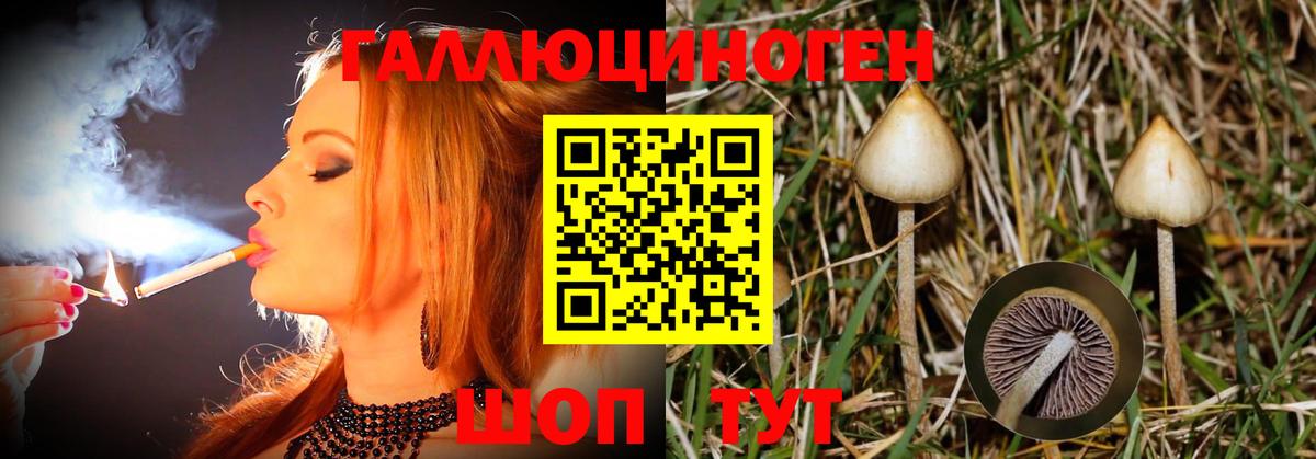 Галлюциногенные грибы прущие грибы Барнаул